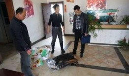 武汉法院爆料案件最新